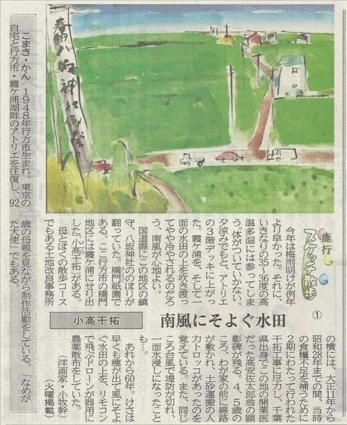 南風にそよぐ水田 〜小高干拓〜